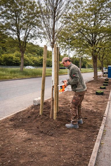 Arbeiter bei Pflanzung von Baum auf gewerblicher Fläche