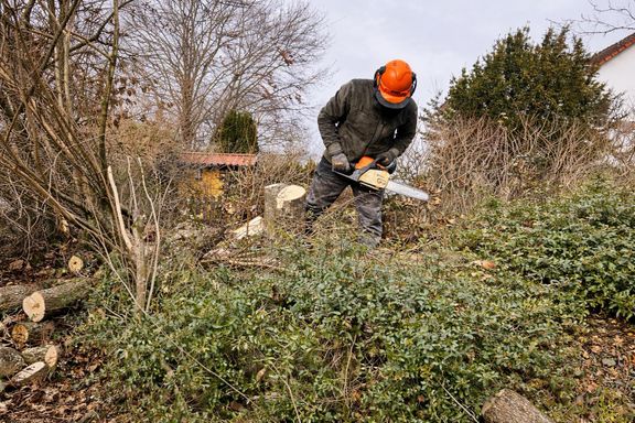 Gehölzrückschnitt mit Motorsäge in Nürtingen